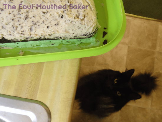 Bear was trying to get my attention while I was making an ice cream cake, I told her to fuck off, and she retaliated.