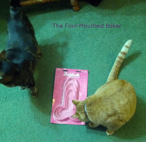 This pussy love The Cock!