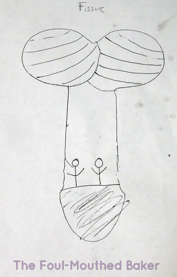 Dicktacular Plans! Yes, this type of thing is just laying around in my apartment all the time.