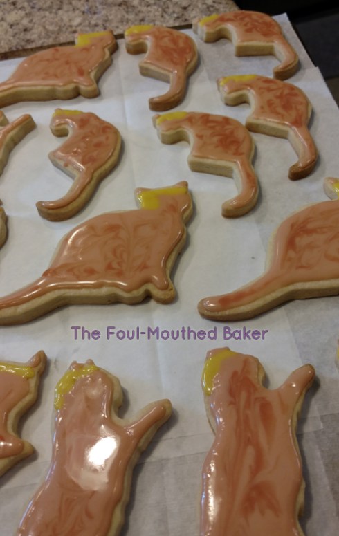 These cats are very shiny and bright, which is the exact opposite of the future of the USA. 