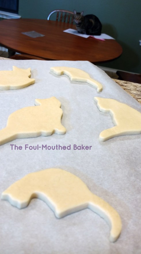 Bonus Pussy Grabbing Points: elicit disapproving stares from another feline companion.